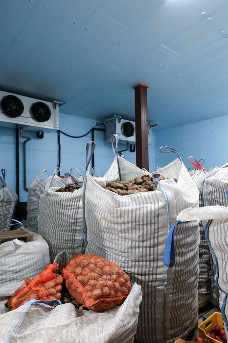 Płyta Dachowa Ścienna Sufitowa Ocieplenie Izolacja Styrodur XPS AGRO