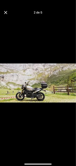 Benelli leoncino 800 traill