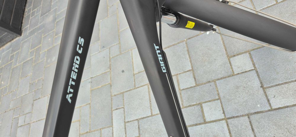 Rower Giant CS2 W