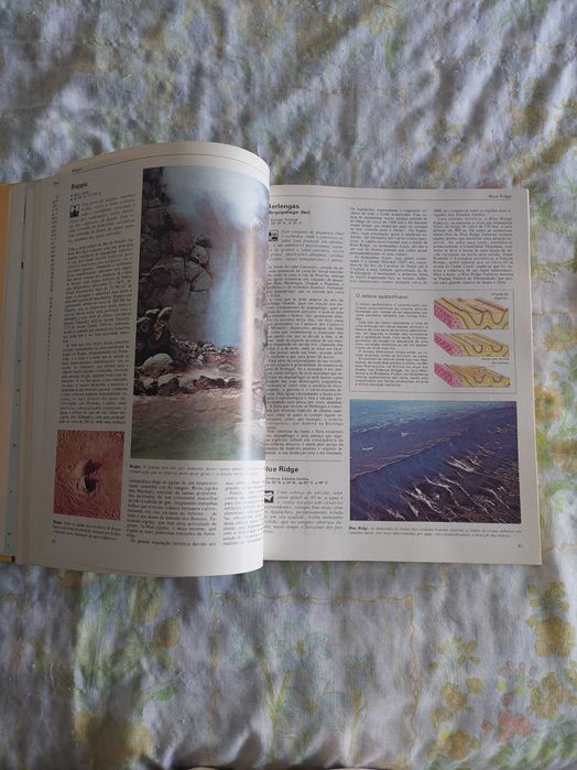 Dicionário Ilustrado das Maravilhas Naturais do Mundo