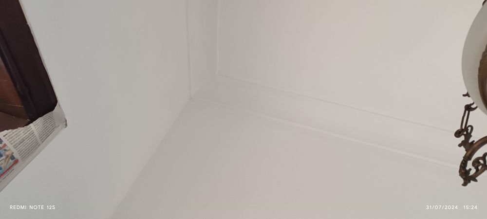 vários serviços pintura acabamos de móveis limpeza de terrenos