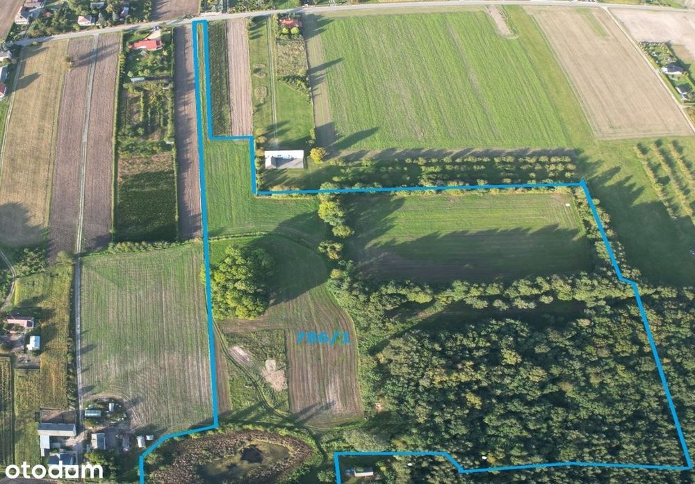 Działka o pow. 7,56 ha budowlano-rolna ze stawem. - Widok 2