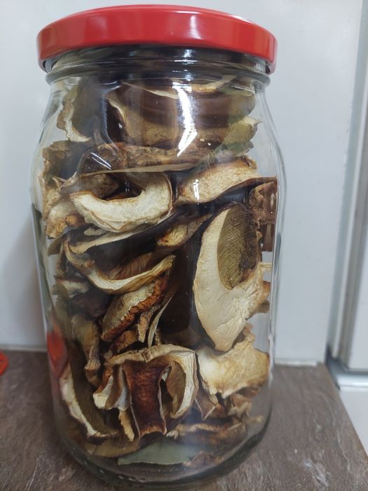 Suszone grzyby borowik / prawdziwek