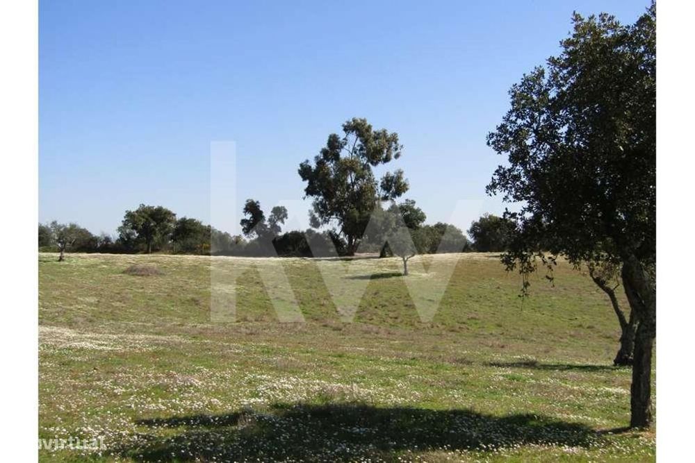 Terreno Agrícola Com 3.325 Ha  Comenda, Gavião — Comenda, Portalegre