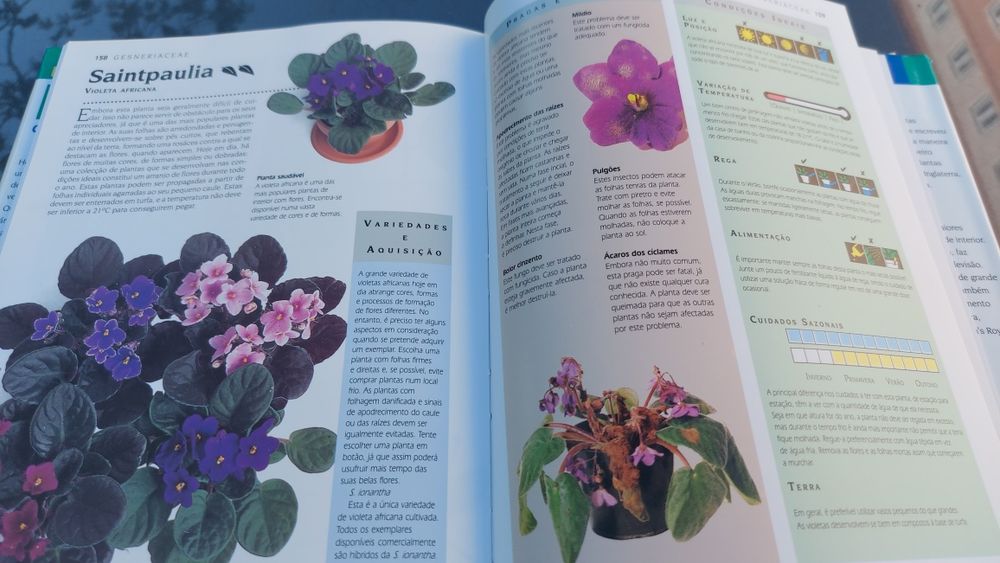 Manual Prático de Plantas do Interior de Jane Bland e William Davidson