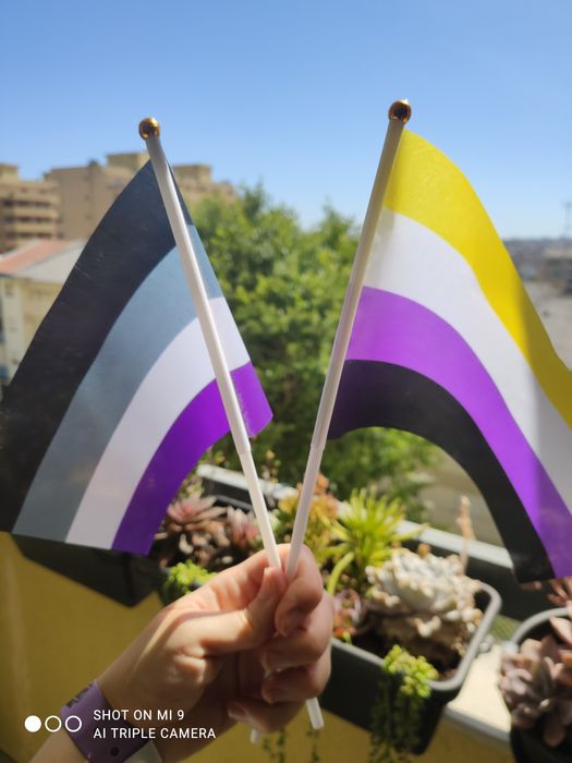 Bandeirinhas LGBT várias