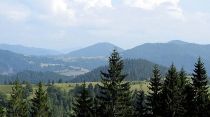 Відпочинок в Карпатах