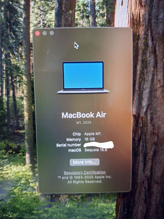 Macbook Air M1 (2020)