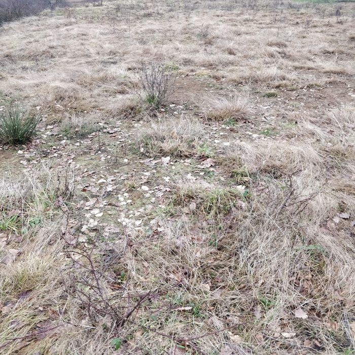 Земельна ділянка