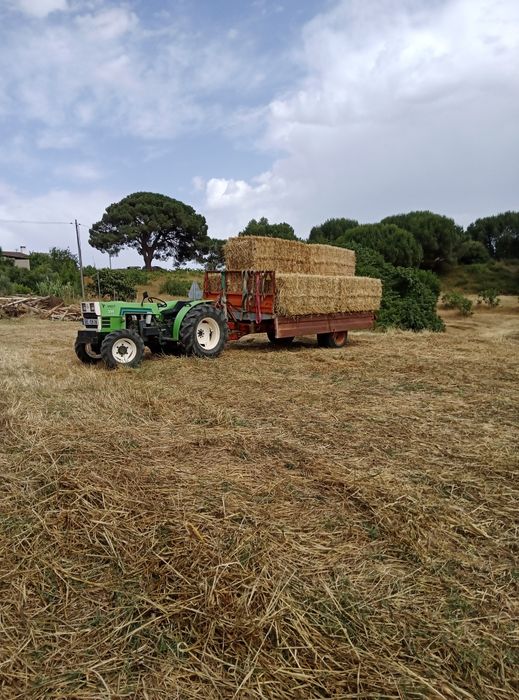 Fardos de feno 2025