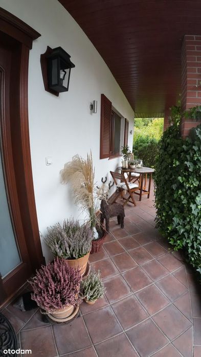 Zdjęcie 2
