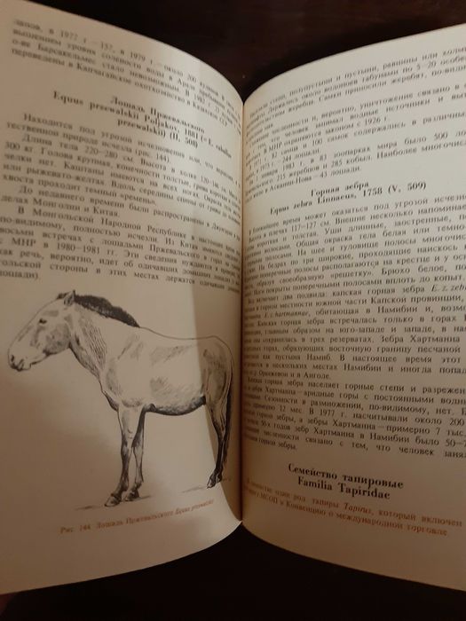 Соколов Редкие и исчезающие животные млекопитающие 1986