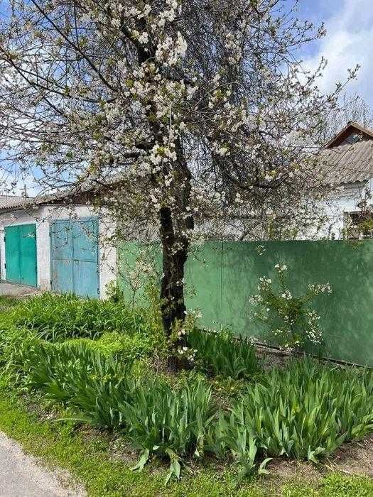 У продажу окремий будинок в Щербанях