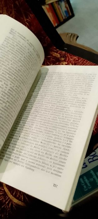 Problemas da Lexicologia e Lexicografia