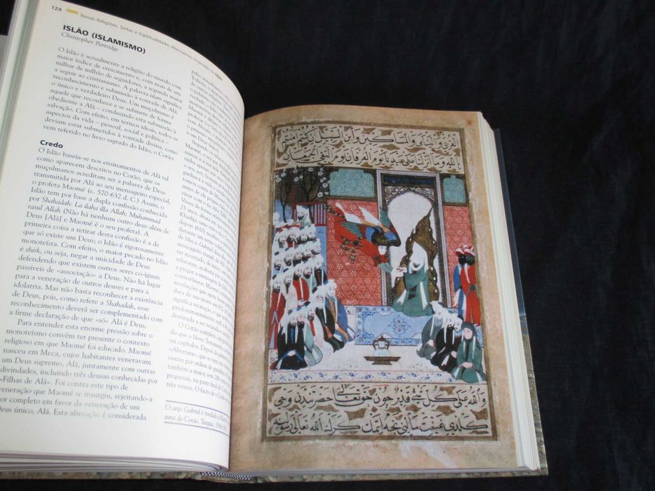 Livro Enciclopédia das Novas Religiões Christopher Partridge