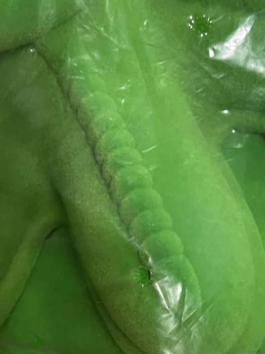 Pés de dinosaauro IKEA para os pes da cana