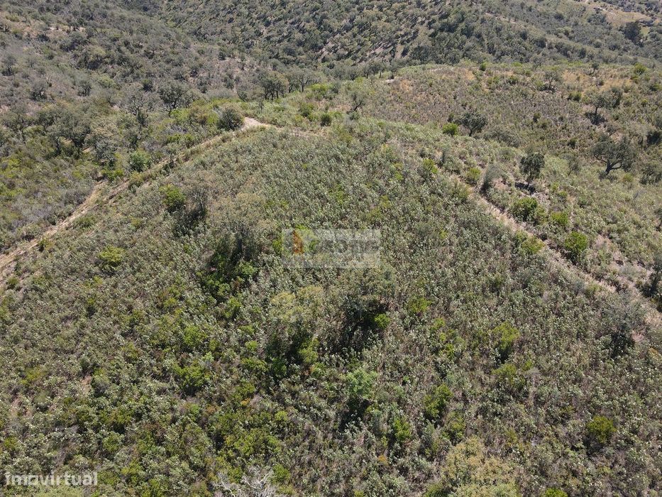 Land for Sale in São Barnabé, Almodôvar