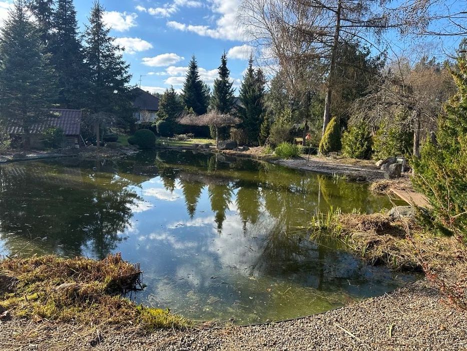 Wycinka drzew, prześwietlenie, pielęgnacja ogrodów prace w ogrodzie