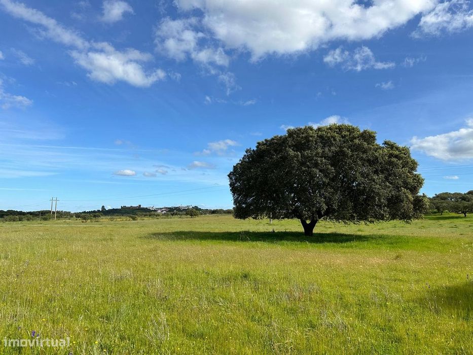 Terreno em Terena - Lagoa do Campo 14 ha