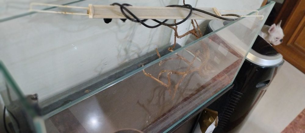 Aquário completo - vidro extra claro (ler descrição)