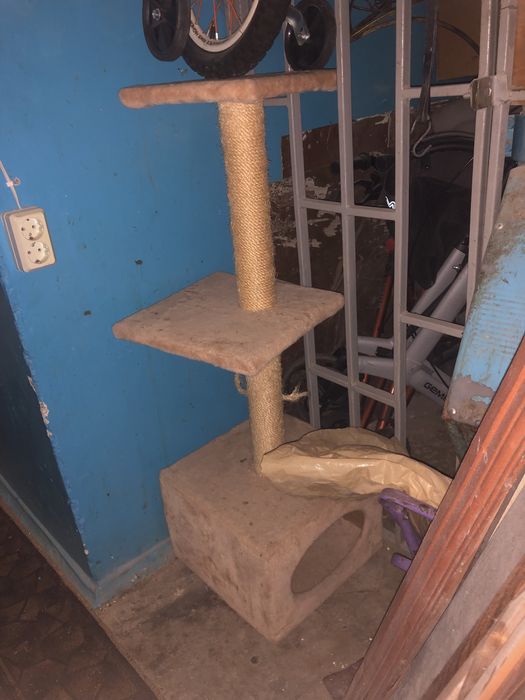 Когтеточка для кошек и котят, домик