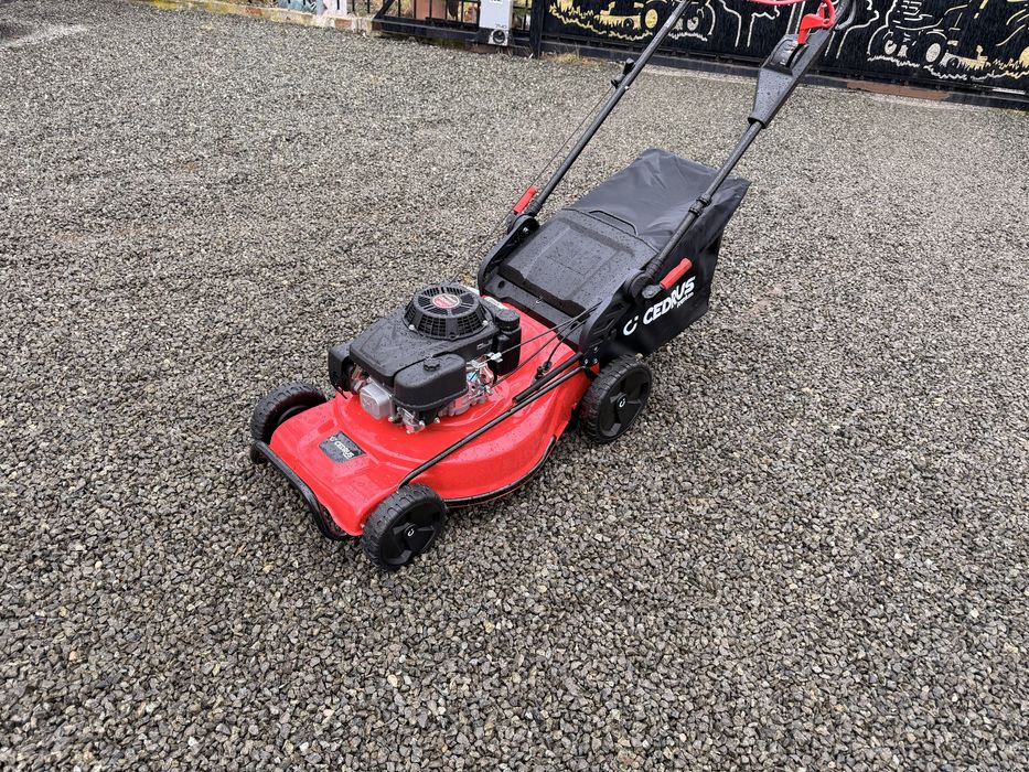 Kosiarka spalinowa Cedrus LP53S-L nowa z gwarancja