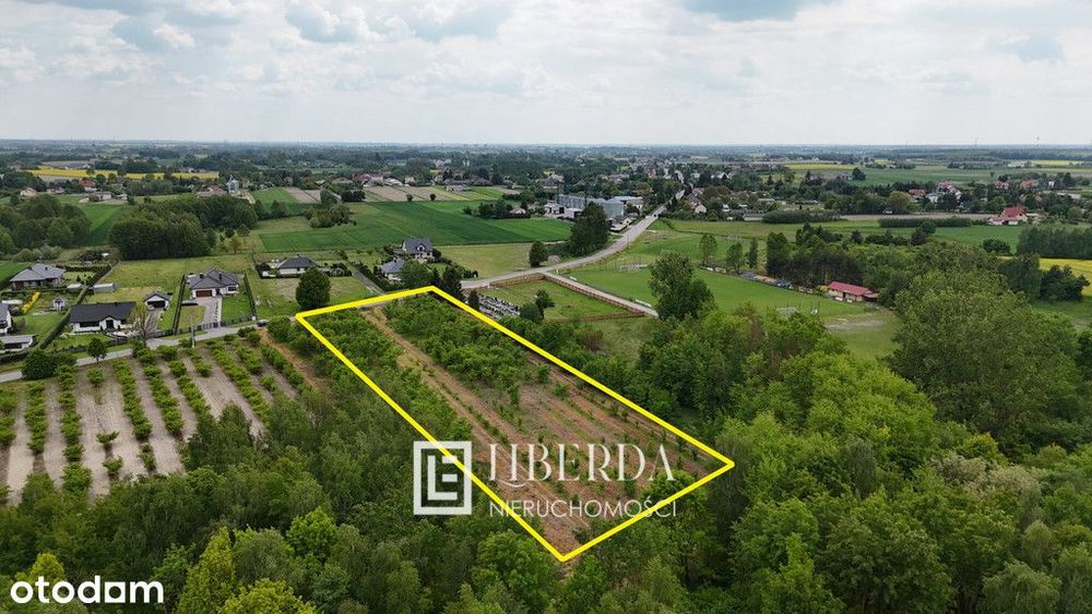 Ludwin - 8600 m2 - 146 200 tys. zł