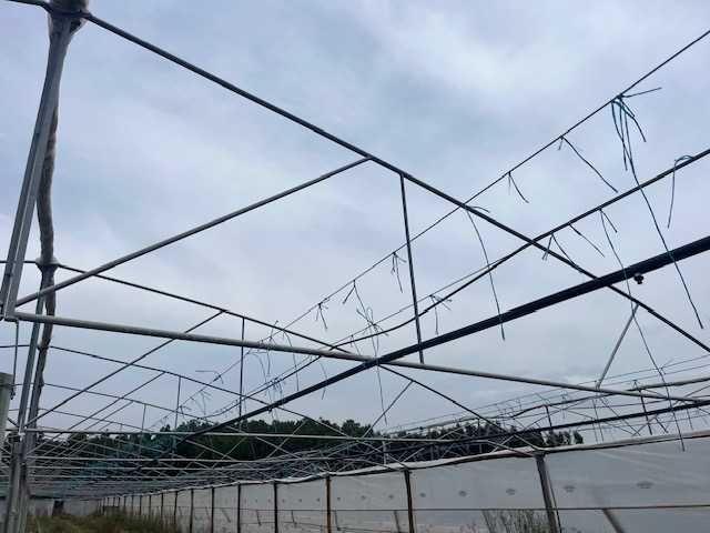 Vendo Arcos (Asnas) para Estufas – Ferro Galvanizado