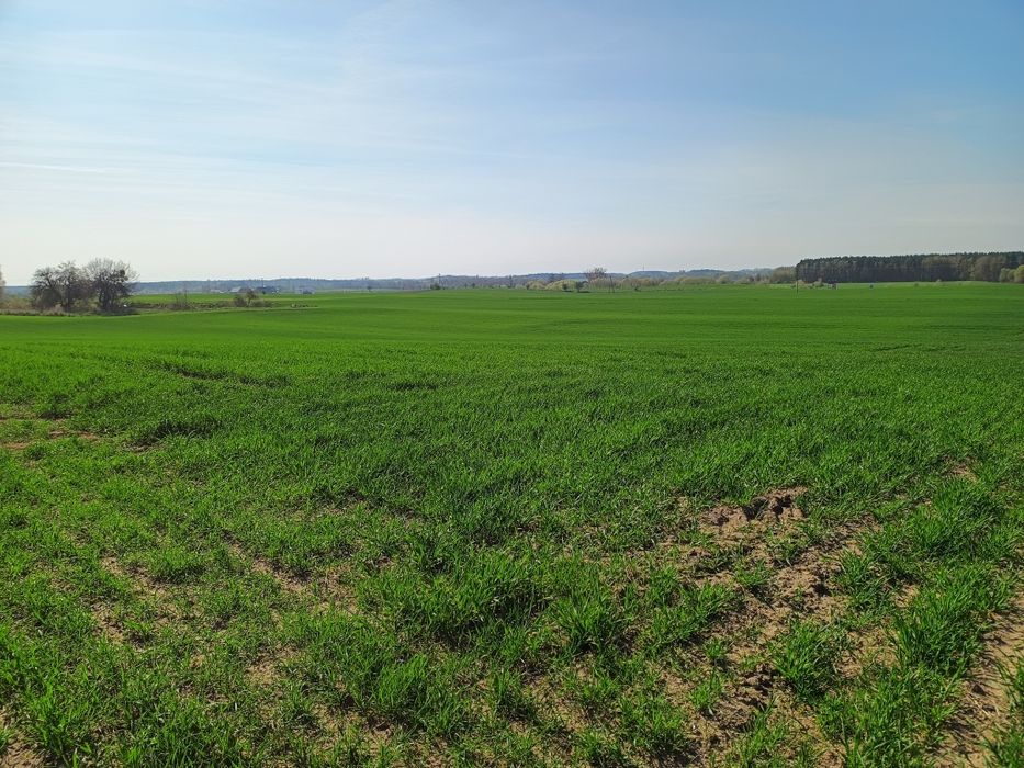 do sprzedania ziemia rolna