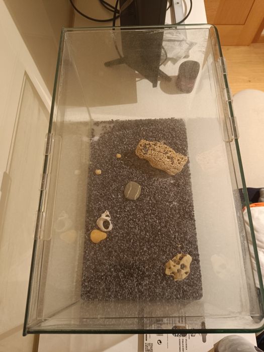 Aquário com capacidade para 20L