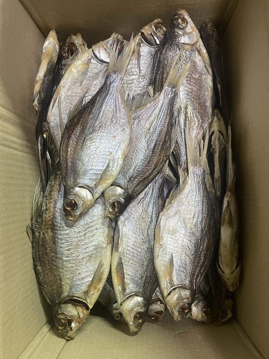 Густера Николаевская густера ОПТ