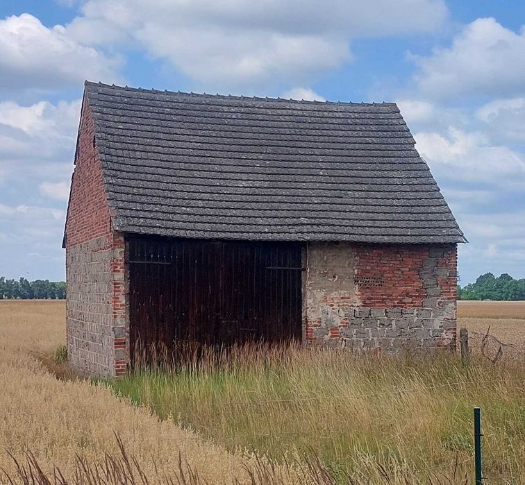 Działka 12,58a Niewodniki
