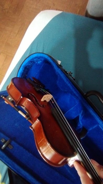 Violino Stentor 1/4 à venda