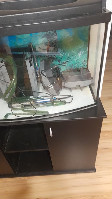 Panoramiczne akwarium o pojemności 200 litrów.