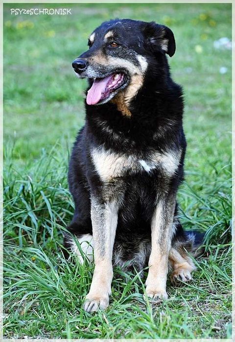 Borys – nie dla niego luksusy, wystarczy kochający opiekun