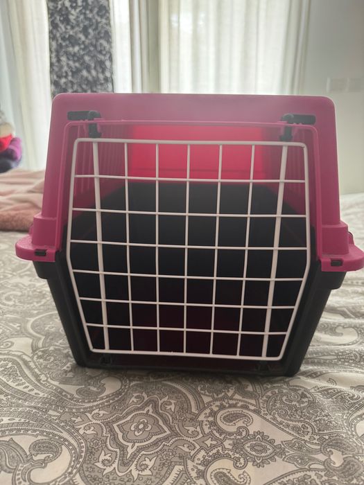 Transportadora pata Gatos