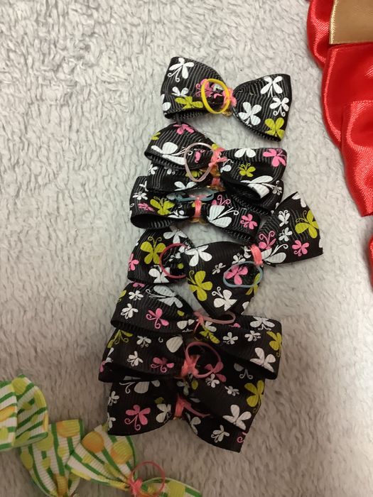 Laços e Gravatinhas para PET