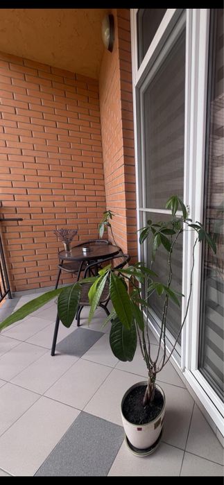 Подобово.ЖК Водограй.«ДЕПОт».Автовокзал .Є паркомісце.