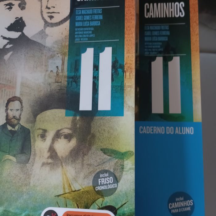 Manual português 11 ano Areal