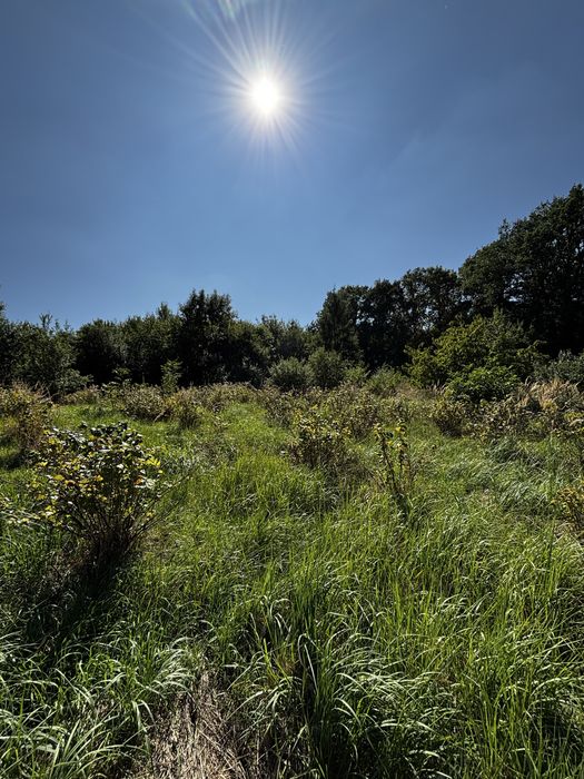 DZIAŁKA W BĘDKOWICACH/SOBÓTKA – u podnóża Ślęży, cisza, natura i świetna lokalizacja - Widok 4