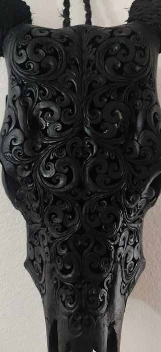 Crânio de vaca - Bali (Indonésia)