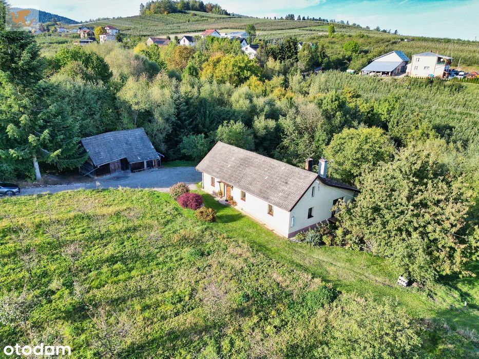 Duża działka z domem | Czarny Potok | 8700 m², sad i potok - Więcej