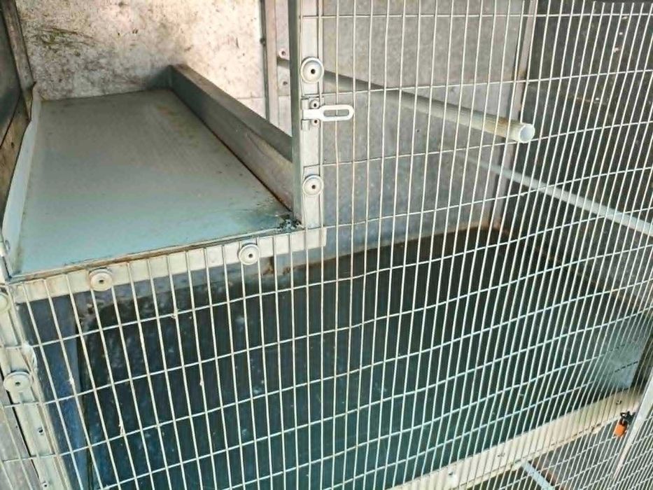 Viveiro para aves 1.45mtsX2mtsX0.60mts