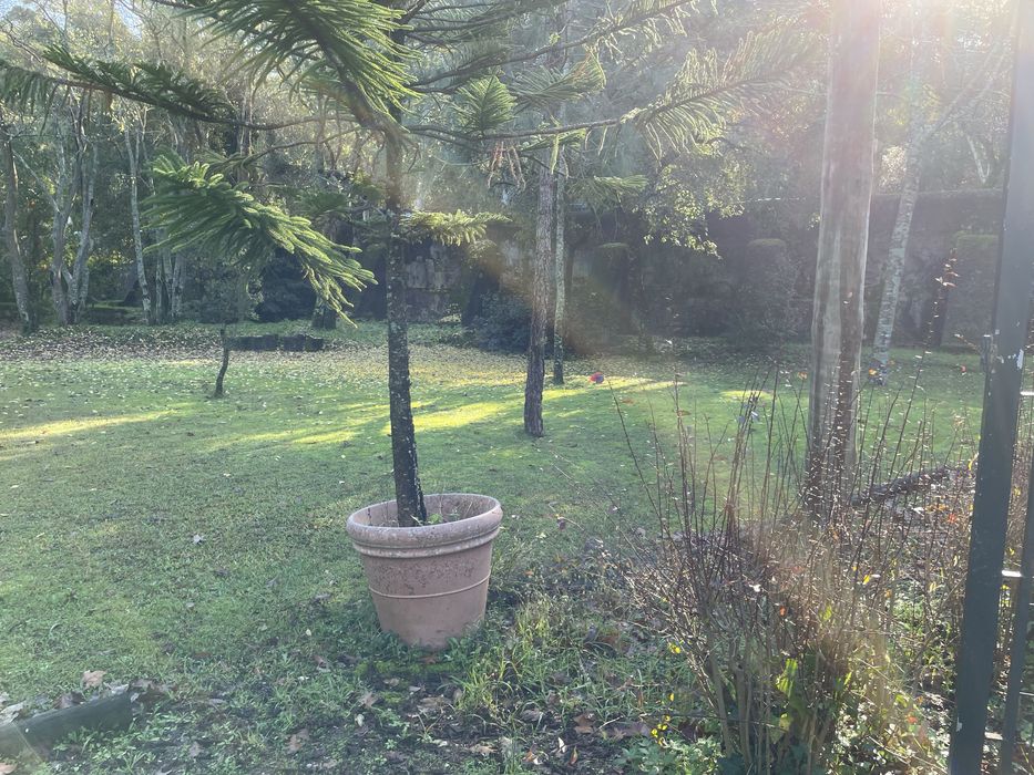 Local para evento - Lisbon Barbecue