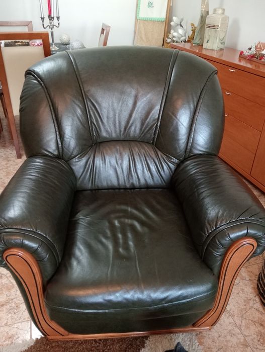 Sofás de pele verdes