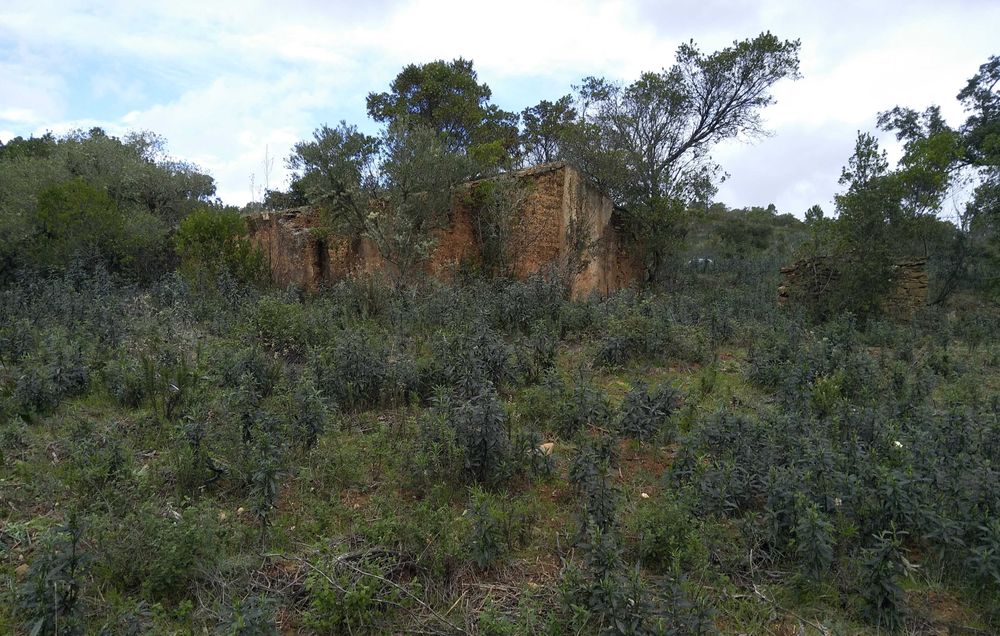 Terreno com Ruína Legalizada – 11,85 ha – Aljezur