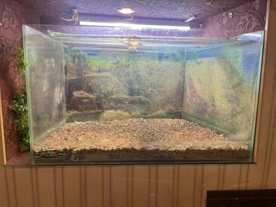 Віддам акваріум