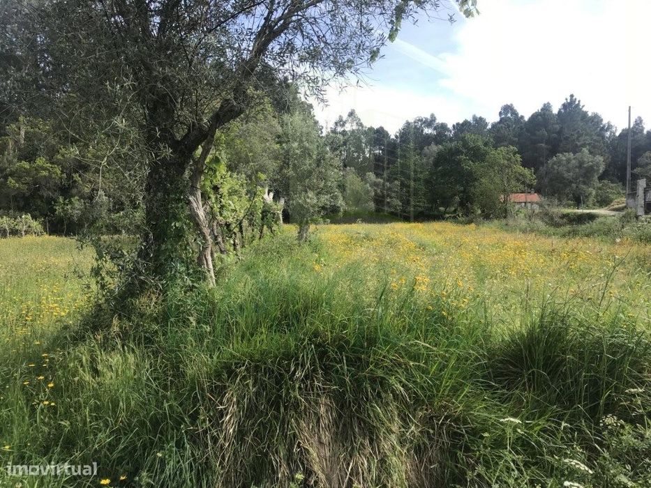 Terreno para venda