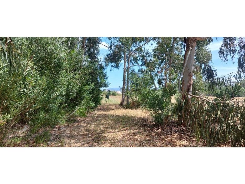 Terreno Rústico para Venda no Rogil, Aljezur — Rogil, Faro