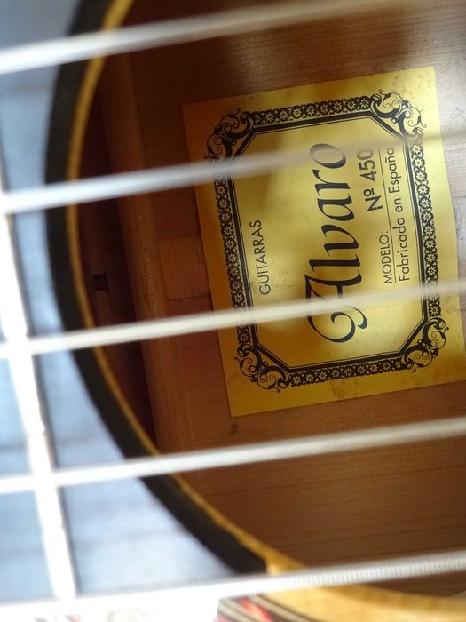 Gitara Klasyczna Alvaro 450